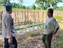 Ketahanan Pangan: Polsek Labuapi Ajak Warga Manfaatkan Lahan