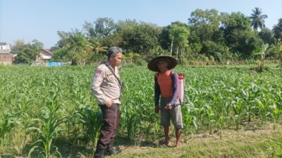 Bhabinkamtibmas Polsek Batulayar Edukasi Warga Tato Barat Soal Pangan Mandiri