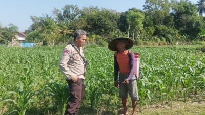 Dukung Ketahanan Pangan, Polsek Batulayar Ajak Warga Menanam Sayur