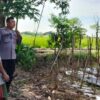 Polsek Labuapi Ajak Warga Manfaatkan Lahan Pekarangan