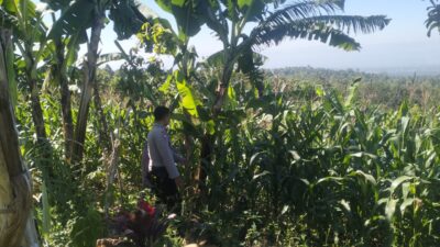 Bhabinkamtibmas Desa Aikprapa Aipda Agus Suputra Sambangi Petani Jagung, Ajak Dukung Program Swasembada Pangan