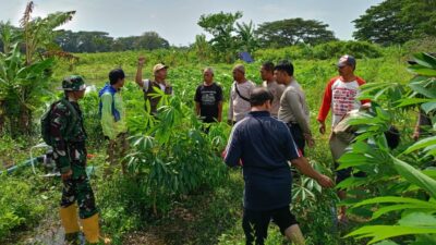 Warga Duduk Atas Lombok Barat Sulap Pekarangan Jadi Kebun