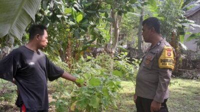 Sinergi Polisi dan Warga Senggigi Sulap Pekarangan Jadi Kebun
