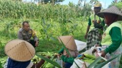 Polsek Labuapi Dorong Ketahanan Pangan di Bagik Polak Barat