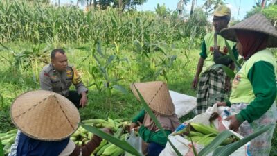 Polsek Labuapi Dorong Ketahanan Pangan di Bagik Polak Barat
