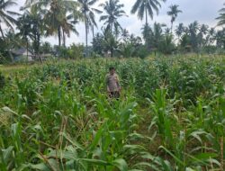 Bhabinkamtibmas Desa Danger Monitoring Ketahanan Pangan dan Ajak Warga Jaga Kamtibmas