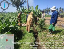 Bhabinkamtibmas Desa Masbagik Utara Laksanakan Silaturahmi dan Kontrol Tanaman Petani untuk Mendukung Ketahanan Pangan