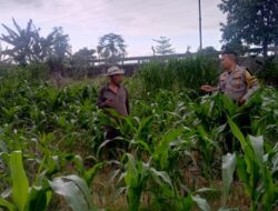 Polsek Labuapi Kawal Ketahanan Pangan dan Stabilitas Harga Pangan di Lombok Barat