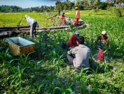 Bhabinkamtibmas Desa Embung Kandong Jalin Silaturahmi dengan Petani, Sampaikan Himbauan Kamtibmas