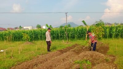 Dukung Ketahanan Pangan, Polsek Labuapi Turun Langsung Dampingi Petani di Lombok Barat