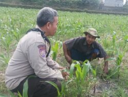 Dukung Swasembada Pangan, Polsek Batulayar Ajak Warga Lombok Barat Manfaatkan Lahan Pekarangan