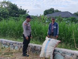 Aksi Nyata Polsek Labuapi Kawal Kedaulatan Pangan, Borong Semangat Petani di Sawah