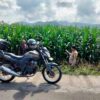 Melalui Pendampingan Petani, Polsek Hu’u Wujudkan Ketahanan Pangan dan Kesejahteraan Masyarakat