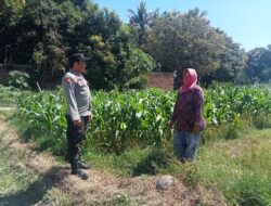 Dukung Pangan Bergizi, Bhabinkamtibmas Desa Labuhan Burung Ajak Warga Optimalkan Lahan Produktif