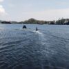 Target Dua Emas PON 2028 Warnai Eksebisi Ski Air dan Wakeboard PORPROV NTB XII
