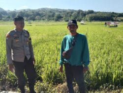 Dukung Asta Cita Ketahanan Pangan, Bhabinkamtibmas Desa Padasuka Motivasi Petani Optimalkan Lahan Produktif