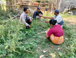 Bhabinkamtibmas Desa Kadindi Ajak Warga Optimalkan Pekarangan untuk Dukung Ketahanan Pangan dan Jaga Kamtibmas