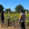 Dukung Ketahanan Pangan, Bhabinkamtibmas Desa Suka Mulya Sambangi Petani Cabai di Labangka