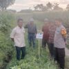 Bhabinkamtibmas Desa Malaju Dorong Pemanfaatan Pekarangan untuk Dukung Ketahanan Pangan di Kecamatan Kilo