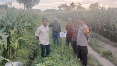 Bhabinkamtibmas Desa Malaju Dorong Pemanfaatan Pekarangan untuk Dukung Ketahanan Pangan di Kecamatan Kilo