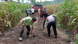 Gotong Royong Bangun Jalan Ekonomi, Bhabinkamtibmas Desa Dorebara Dorong Peningkatan Kesejahteraan Petani