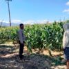 Bhabinkamtibmas Desa Cempi Jaya Lakukan Pemantauan Lahan Jagung, Dukung Program Ketahanan Pangan Nasional