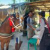 Patroli KRYD Humanis, Satsamapta Polres Bima Kabupaten Imbau Warga Jaga Kondusifitas Kamtibmas dan Bantu Angkat Padi Petani