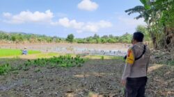 Tinjau Lahan Petani di Desa Moyo, Bhabinkamtibmas Gali Kendala Pertanian Demi Sukseskan Ketahanan Pangan