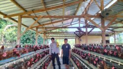Dukung Program Ketahanan Pangan Bhabinkamtibmas Desa Sakra Selatan Monitoring