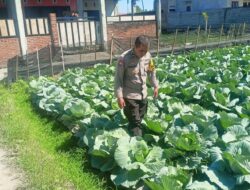 Bhabinkamtibmas Desa Masbagik Utara Monitoring Tanaman Hortikultura, Dukung Ketahanan Pangan dan Ajak Warga Jaga Kamtibmas