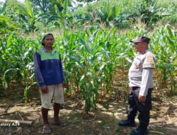 Dukung Ketahanan Pangan Nasional, Polsek Gerung Dampingi Petani di Lombok Barat