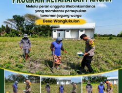 Anggota Bhabinkamtimas Polsek Senori Polresta Tuban Membantu Proses Pemupukan Tanaman Jagung Warga Desa Wanglukulon