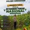 Polsek Singgahan Polresta Tuban Turun Cek Tanaman jagung Warga di Desa Binangun