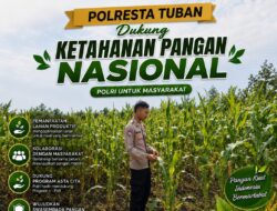 Polsek Singgahan Polresta Tuban Turun Cek Tanaman jagung Warga di Desa Binangun