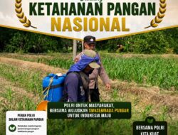 Polsek Soko Polresta Tuban Turun Langsung Cek Tanaman Jagung Warga