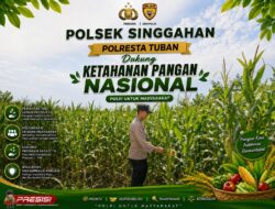 Polsek Singgahan Polresta Tuban Turun Cek Tanaman jagung Warga di Desa Mulyoagung