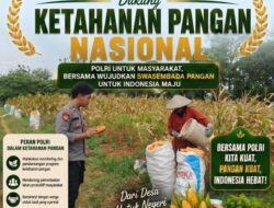 BRIPDA SHANDY MONITORING PANEN JAGUNG DI BANCAR, DUKUNG KETAHANAN PANGAN