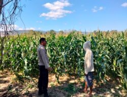 Bhabinkamtibmas Desa Cempi Jaya Sambangi Petani, Imbau Warga Tidak Gunakan Jaring Kawat Beraliran Listrik