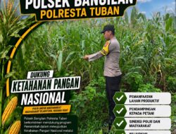 POLSEK BANGILAN DUKUNG KETAHANAN PANGAN NASIONAL