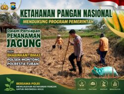 Polsek Montong Polresta Tuban Turun Cek Tanaman jagung Warga di Desa Pakel