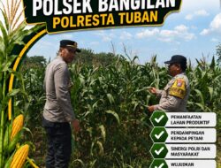 MONITORING KETAHANAN PANGAN POLSEK BANGILAN