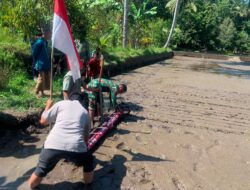 Tabela Hadir di Suranadi, Langkah Baru Pertanian Petani