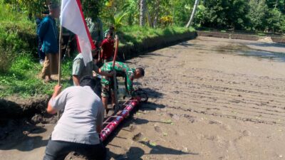 Tabela Hadir di Suranadi, Langkah Baru Pertanian Petani