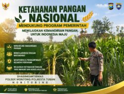Polsek Montong Polresta Tuban Turun Cek Tanaman jagung Warga di Desa Bringin