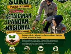 Polsek Soko Polresta Tuban Turun Langsung Cek Tanaman Jagung Warga