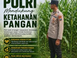 Polsek Singgahan Polresta Tuban Turun Cek Tanaman jagung Warga di Desa Tingkis