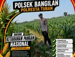 Ketahanan Pangan Polsek Bangilan