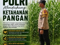 Polsek Singgahan Polresta Tuban Turun Cek Tanaman jagung Warga di Desa Mulyoagung