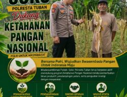 Polsek Soko Polresta Tuban Turun Langsung Cek Tanaman Jagung Warga