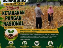 BHABINKAMTIBMAS DESA PACING POLSEK PARENGAN POLRESTA TUBAN DORONG KETAHANAN PANGAN MELALUI PENDAMPINGAN PETANI JAGUNG DI DESA PACING KEC. PARENGAN KAB. TUBAN